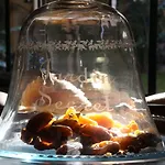 Отель Jardins Secrets 5*