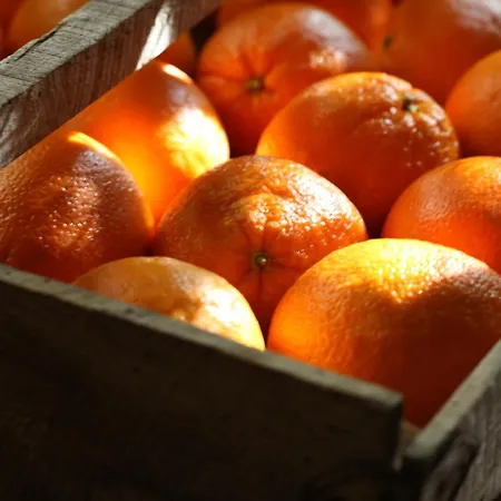 Jardins Secrets Nîmes