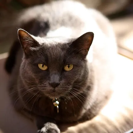 Hotel Jardins Secrets