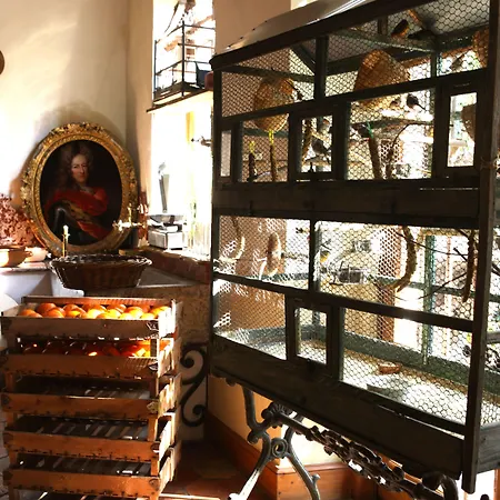 Отель Jardins Secrets 5*