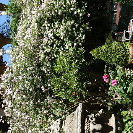 Jardins Secrets Hotel 5*