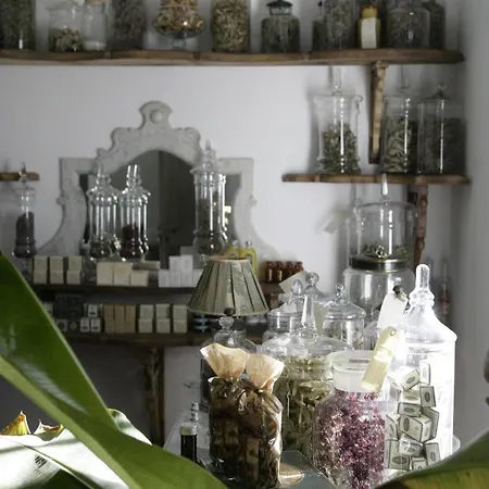 Jardins Secrets Hotel Nimes