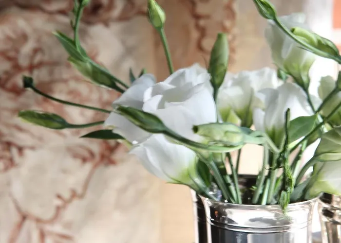 ジャルダン スクレット