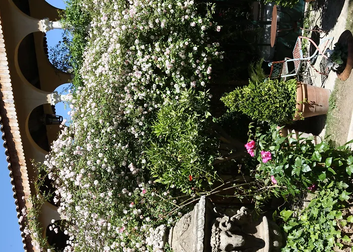 ジャルダン スクレット ホテル 5*