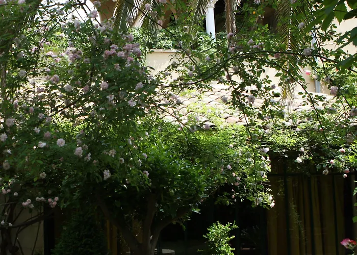 ジャルダン スクレット ホテル 5*